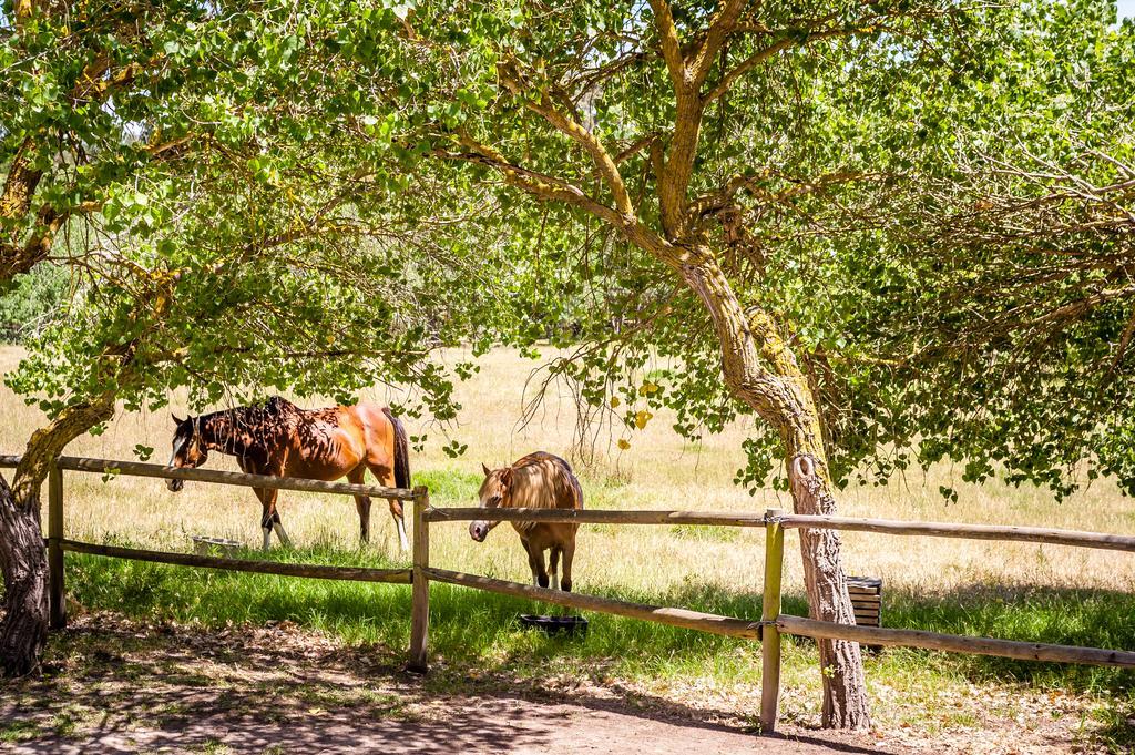 Natte Valleij Villa Klapmuts Esterno foto